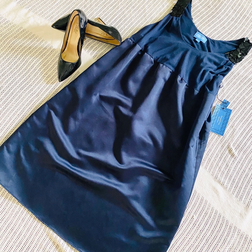 Simply Vera Vera Wang Blue Dress. Size 12